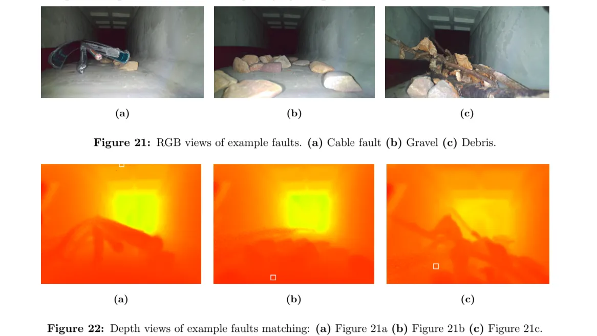 Images from the robot